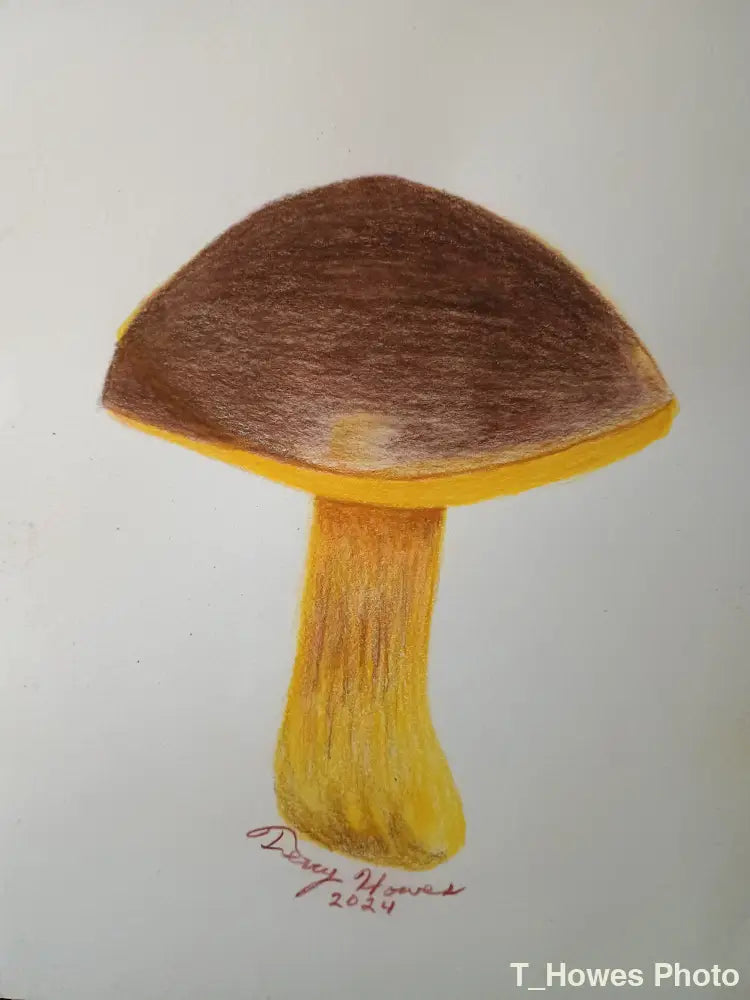 Bay Bolete Print