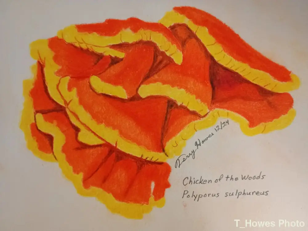 Chicken Of The Woods Print