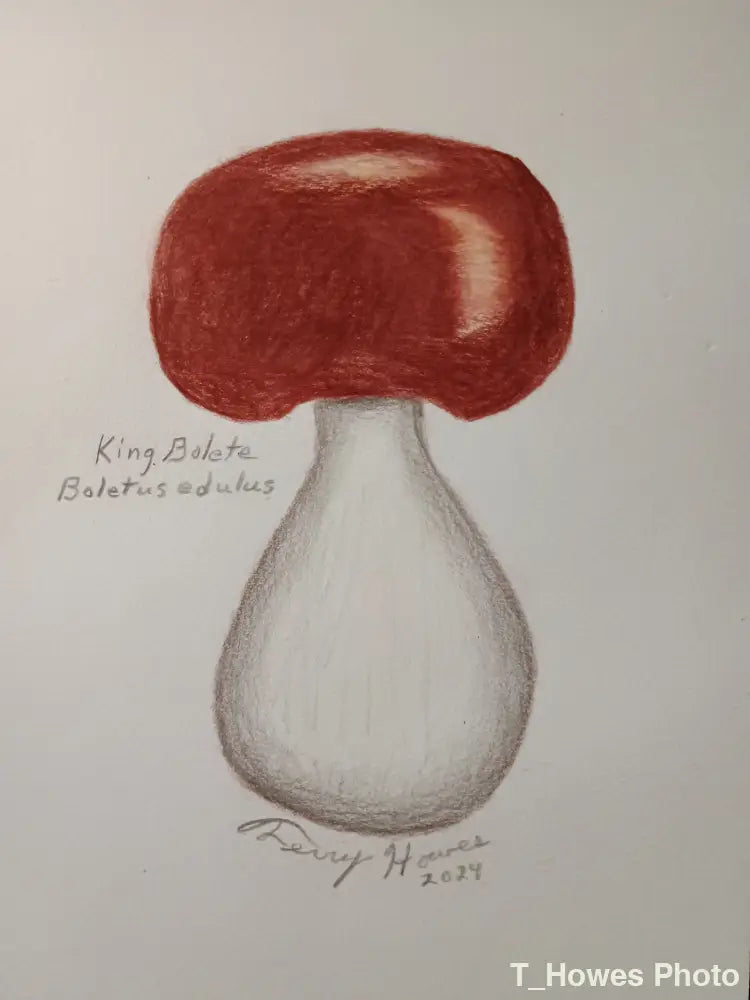 King Bolete Print