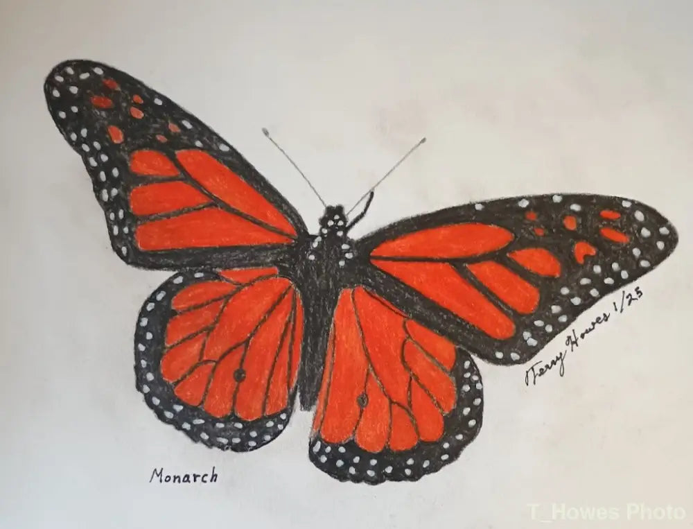Monarch Butterfly Print