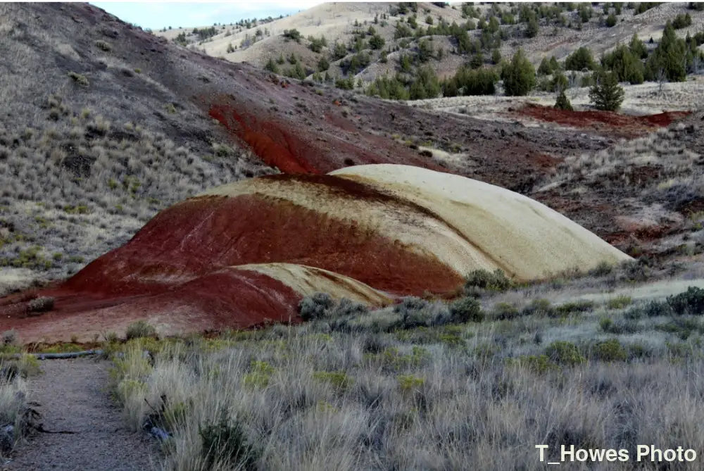Painted Hills-20 ’Professional nature photography from Painted Hills National Park available as a high-quality framed