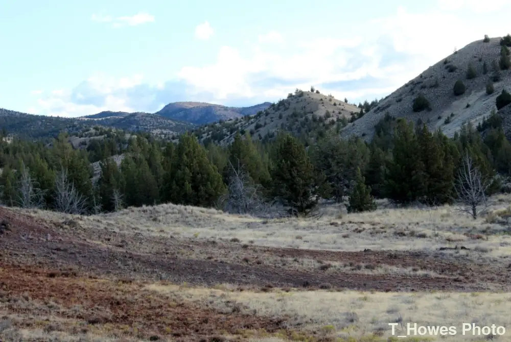Painted Hills-28 ’Professional nature photography from Painted Hills National Park available as a high-quality framed