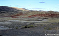 Painted Hills-31 ’Professional nature photography from Painted Hills National Park available as a high-quality framed